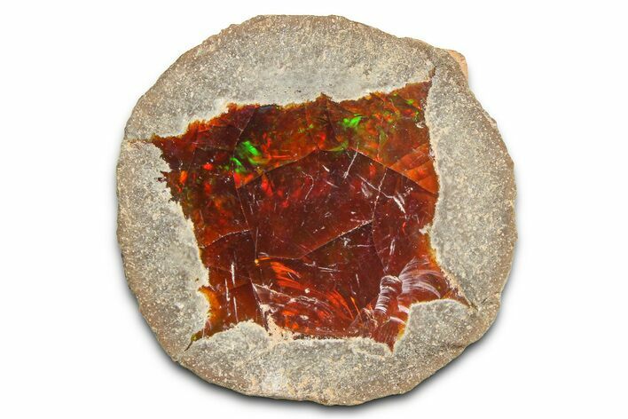 Ethiopian Chocolate Opal Nodule - Yita Ridge #369094